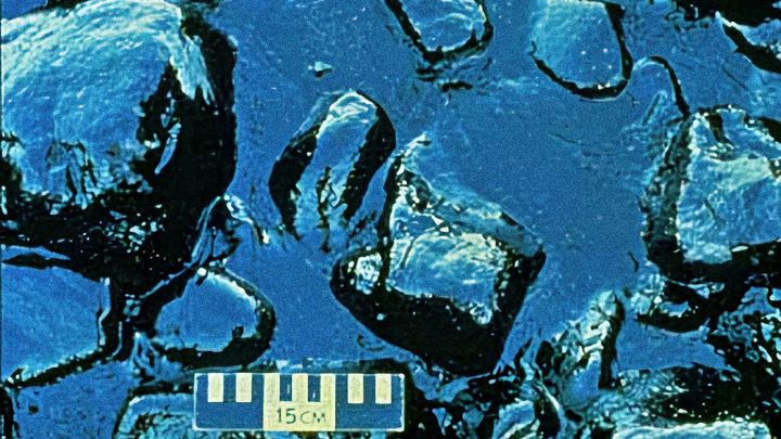 Byl kapitán opilý? Ropa z tankeru Exxon Valdez zabila čtvrt milionu ptáků
