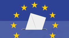 Evropské volby, ikona