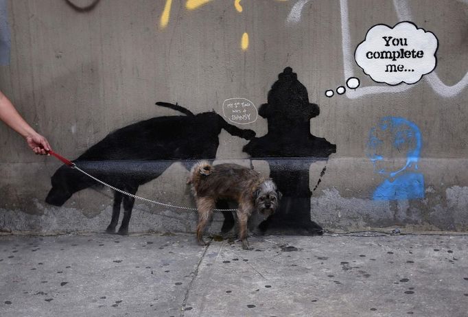 Pes umělecký. V New Yorku "vystavuje" svá díla známý grafitti umělec Banksy. Toto grafitti vyobrazuje psa močícího na pouliční sloupek. Bublina říká: "Dokončíš mě..." Dílo dokončuje kolemjdoucí pes.