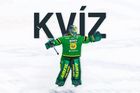 Kviz-ms-finsko