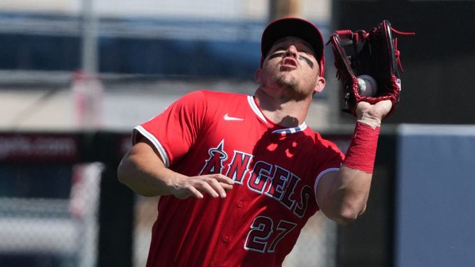 Tahanice mezi divákem a baseballistou v utkání Houston - LA Angels