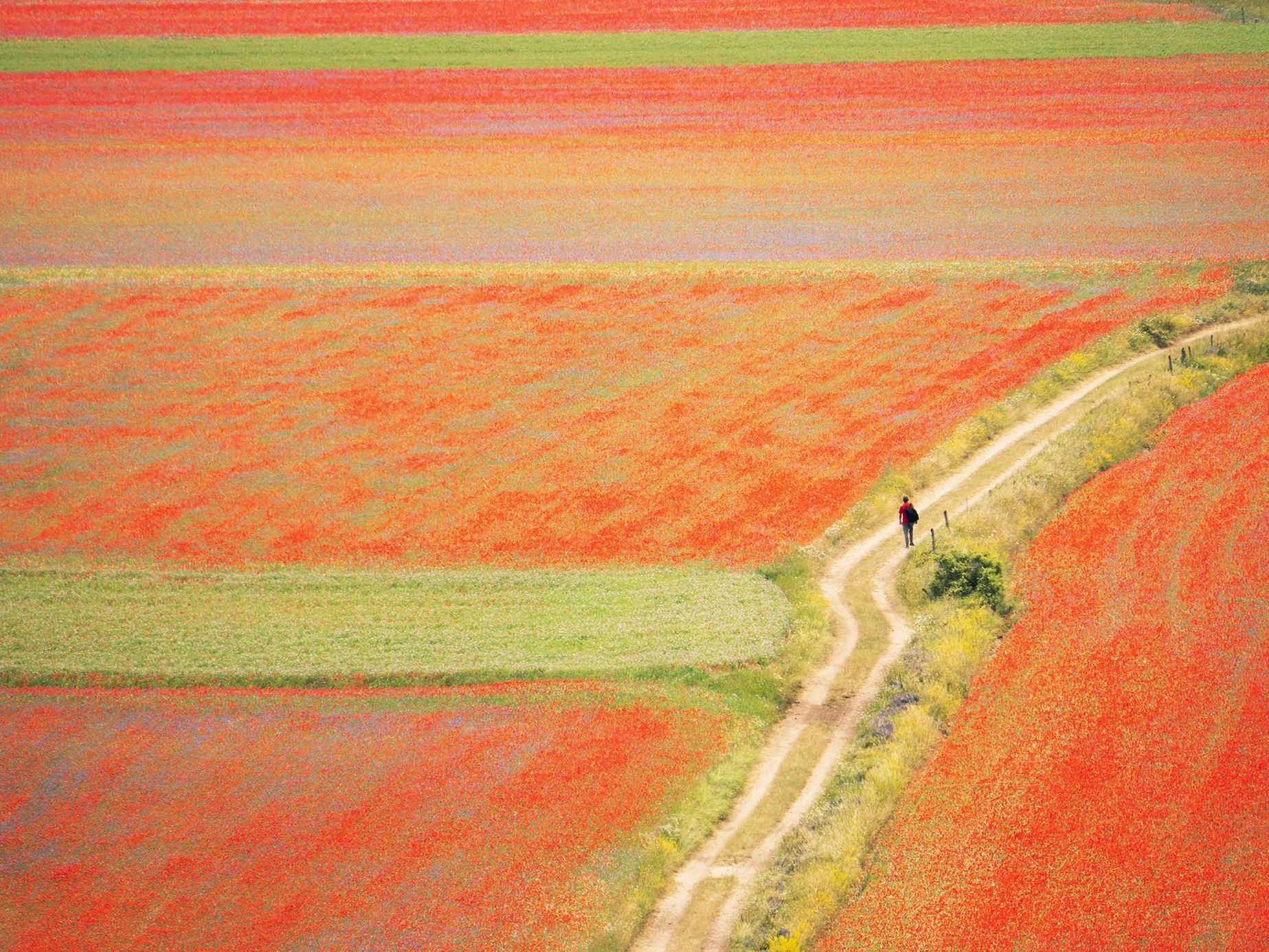 Castelluccio, dva roky po ničivém zemětřesení