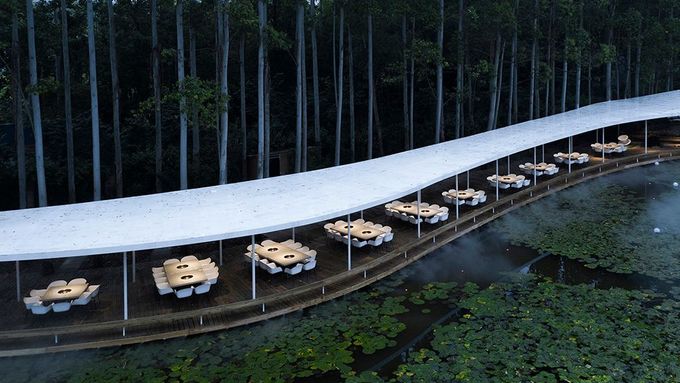 Gastronomická oáza. Restaurace uprostřed eukalyptového lesa připomíná páru nad hrncem