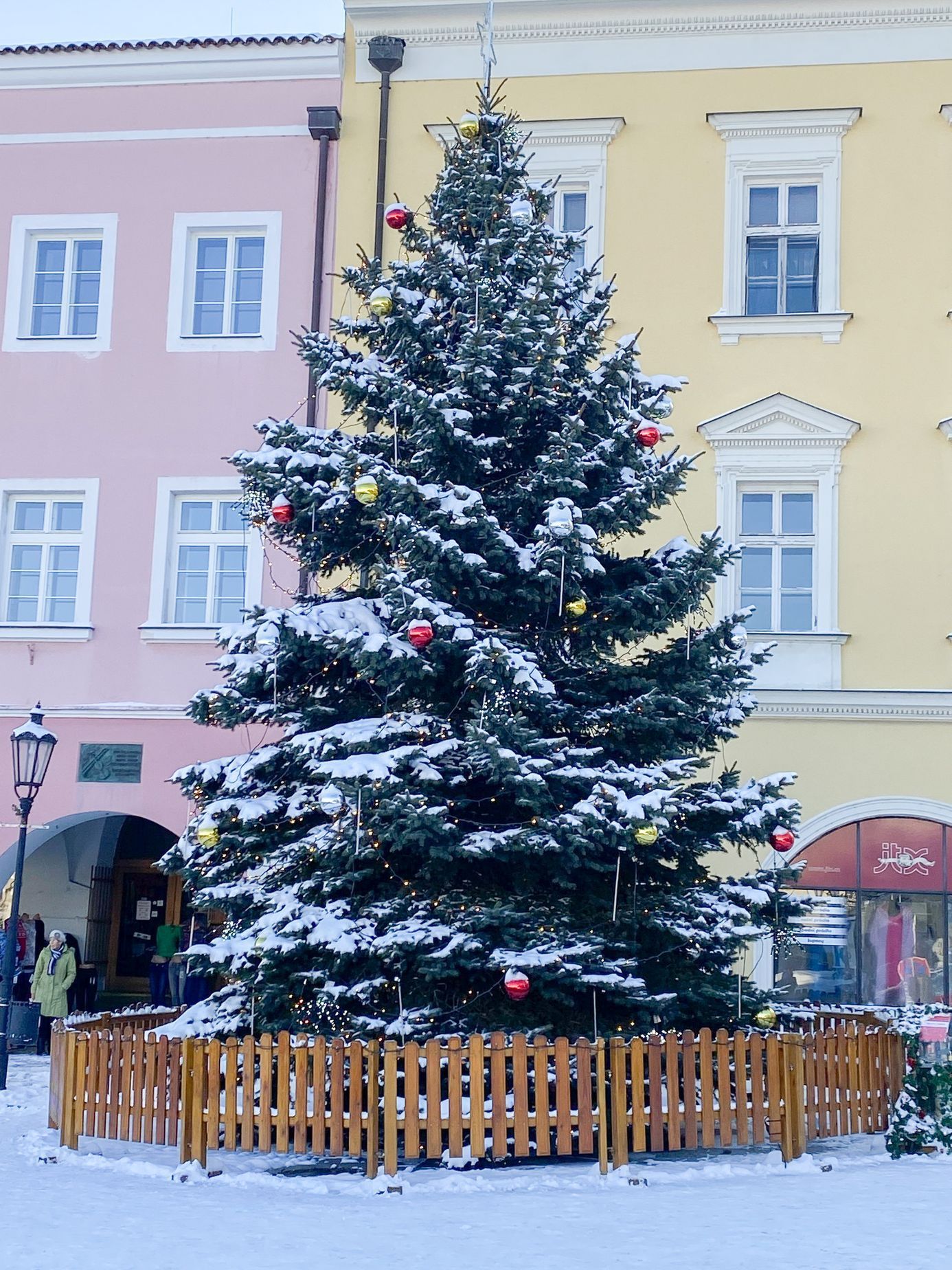 Vánoční strom, Česko, Vánoce, Domácí