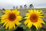 Letošní Tour de France má za sebou patnáct etap. Zrekapitulujme si, jaká je před posledním týdnem situace v pelotonu.