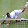 Wimbledon 2011: Tsonga - Djokovič