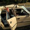 Cvičení Trauma 2009