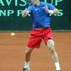 Davis Cup: Česko - Srbsko (Berdych)