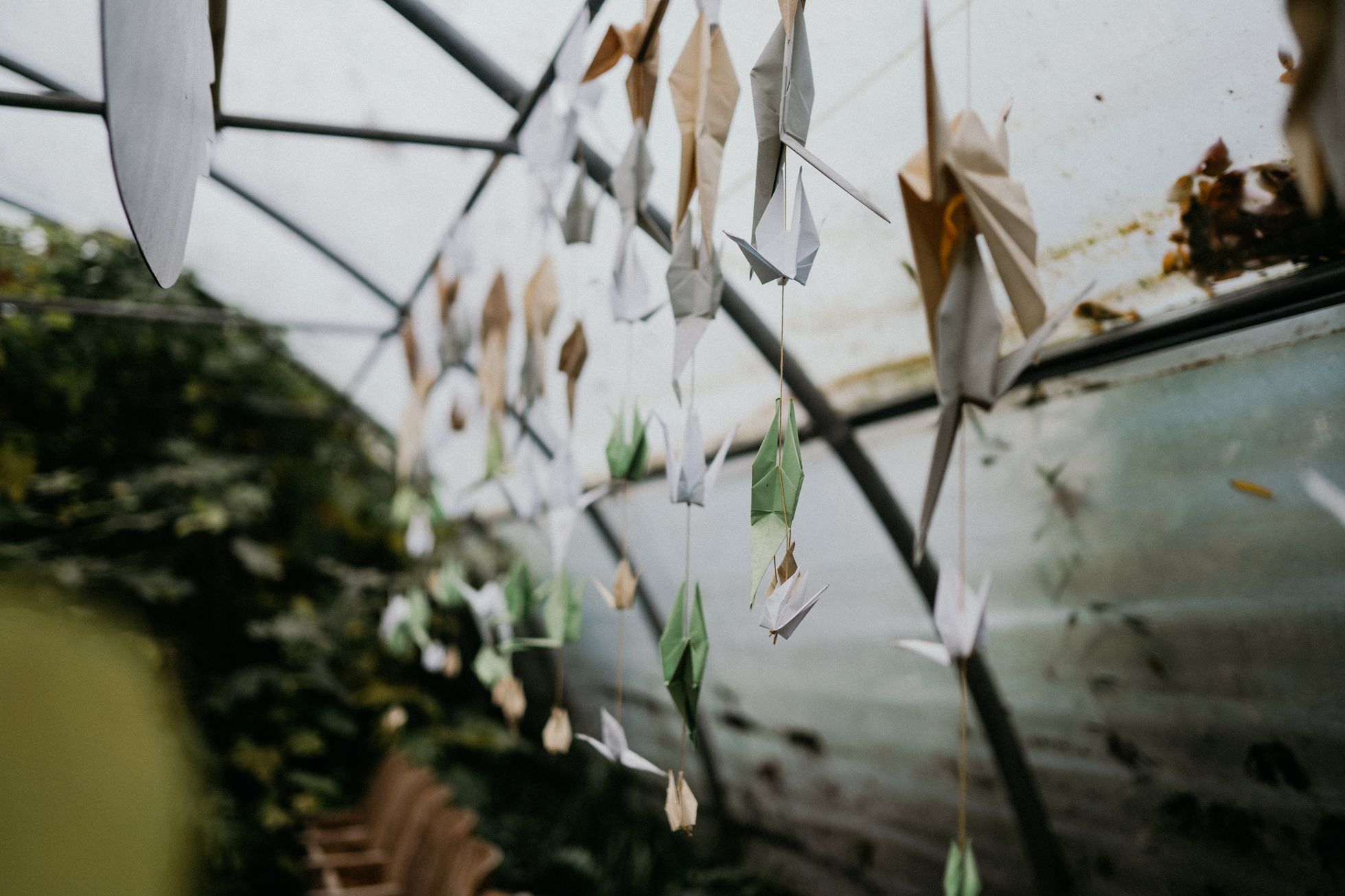 Bambusárium Bohnice