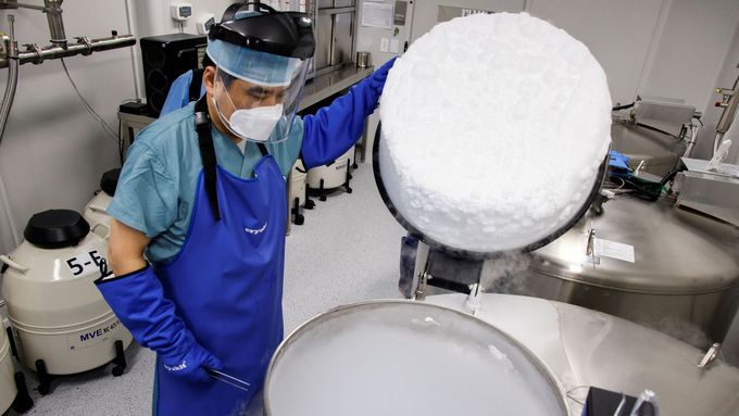 Zaměstnanec v laboratoři v Bundang-gu kontroluje nádrž, ve které mrazí vajíčka.