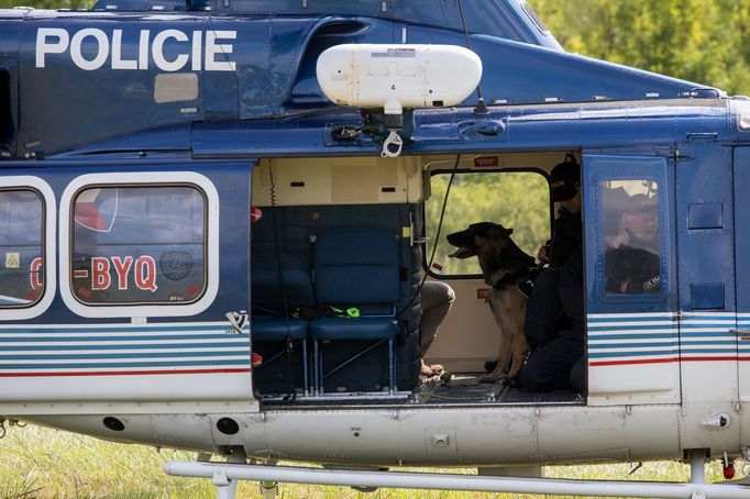 Policejní pes nesmí být bázlivý a mít z létání strach, řekl ČTK vedoucí policejních kynologů Ústeckého kraje Petr Tomášek. Výcvik policejního psa trvá zhruba dva roky.