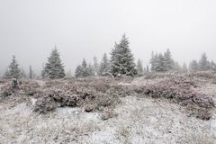 Na horách se budou od pátku tvořit závěje a sněhové jazyky, varují meteorologové