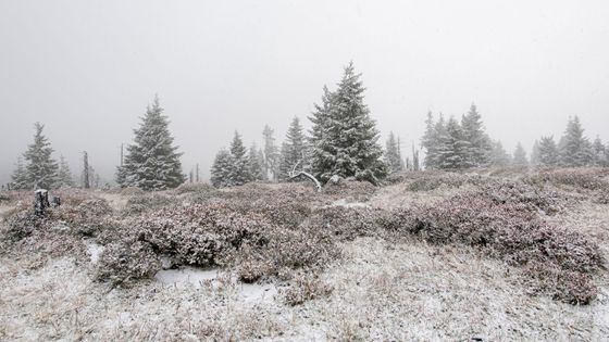 Krkonoše sníh říjen 2019 zima počasí ilustrační