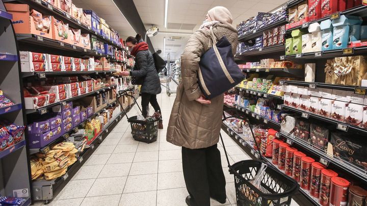 Češi nakupují ve slevách, čtvrtina domácností si může dovolit jen základní potraviny; Zdroj foto: Jakub Plíhal