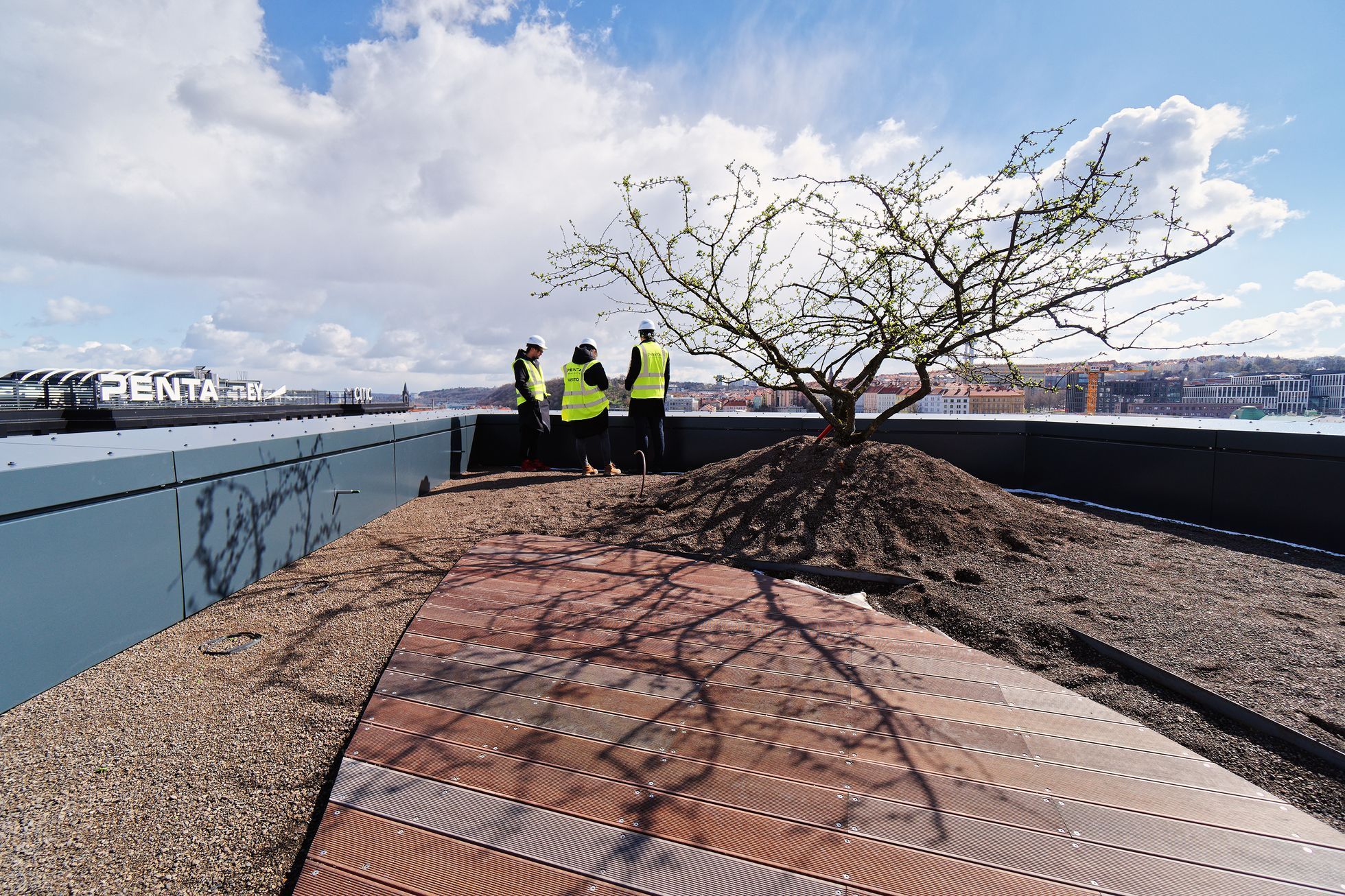 Maryčka (Penta, Hadid)