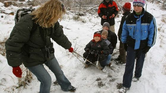 Změní se Tatry po vichřici? Zatím nikdo neví