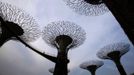 A man walks on the elevated skyway of the Supertrees Grove at the Gardens by the Bay in Singapore June 28, 2012. The 101-hectare gardens situated at the heart of Singapore's new downtown at Marina Bay, which have two greenhouses and 220,000 plants from almost every continent, was officially opened by Singapore's Prime Minister Lee Hsien Loong on Thursday. REUTERS/Tim Chong (SINGAPORE - Tags: ENVIRONMENT SOCIETY TRAVEL) Published: Čer. 28, 2012, 4:05 odp.