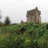 Strašidelný hrad Charleville a tajemný druidský les poblíž irského Tullamore