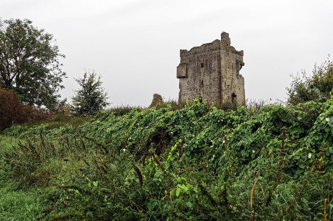 Strašidelný hrad Charleville a tajemný druidský les poblíž irského Tullamore