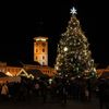 Vánoční strom České Budějovice 2019