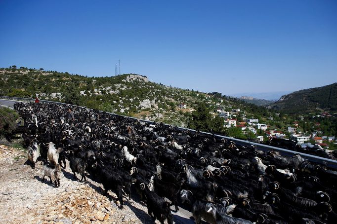 Život nomádských pastevců v turecké provincii Konya