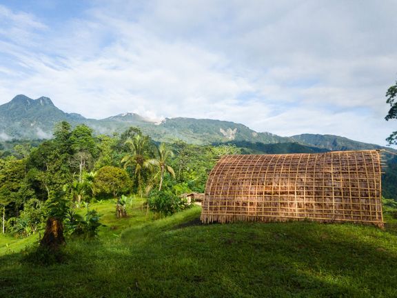 Jedna ze zkoumaných oblastí bylo okolí sopky Mt. Balbi, nejvyšší hory Bougainville. FOTO: Biologické centrum AV ČR
