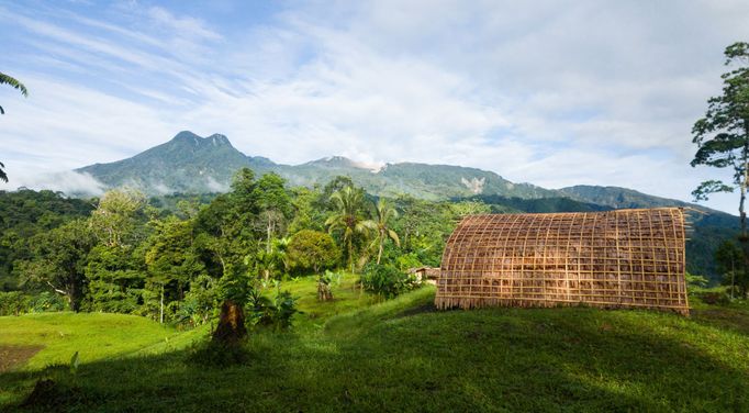 Jedna ze zkoumaných oblastí bylo okolí sopky Mt. Balbi, nejvyšší hory Bougainville