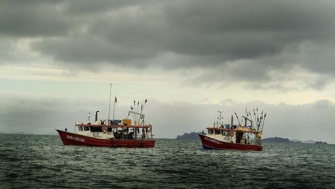 Evropská komise je přesvědčena, že rybářská flotila EU je příliš početná