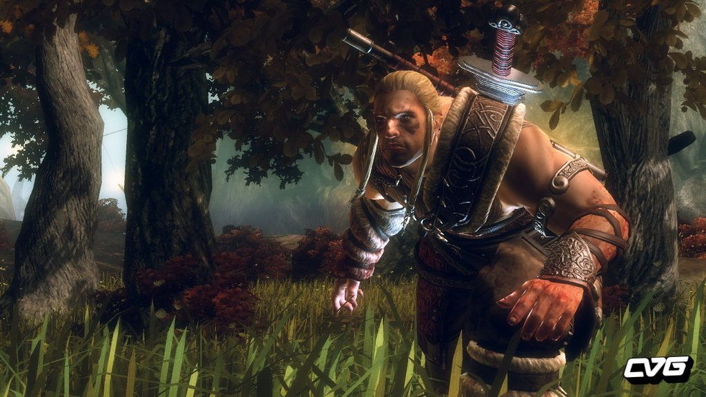 Viking: Battle of Asgard