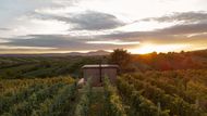Glamping se nachází přímo ve vinohradu a nabízí ikonické výhledy na Pálavu.