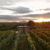Glamping Ve vinohradě