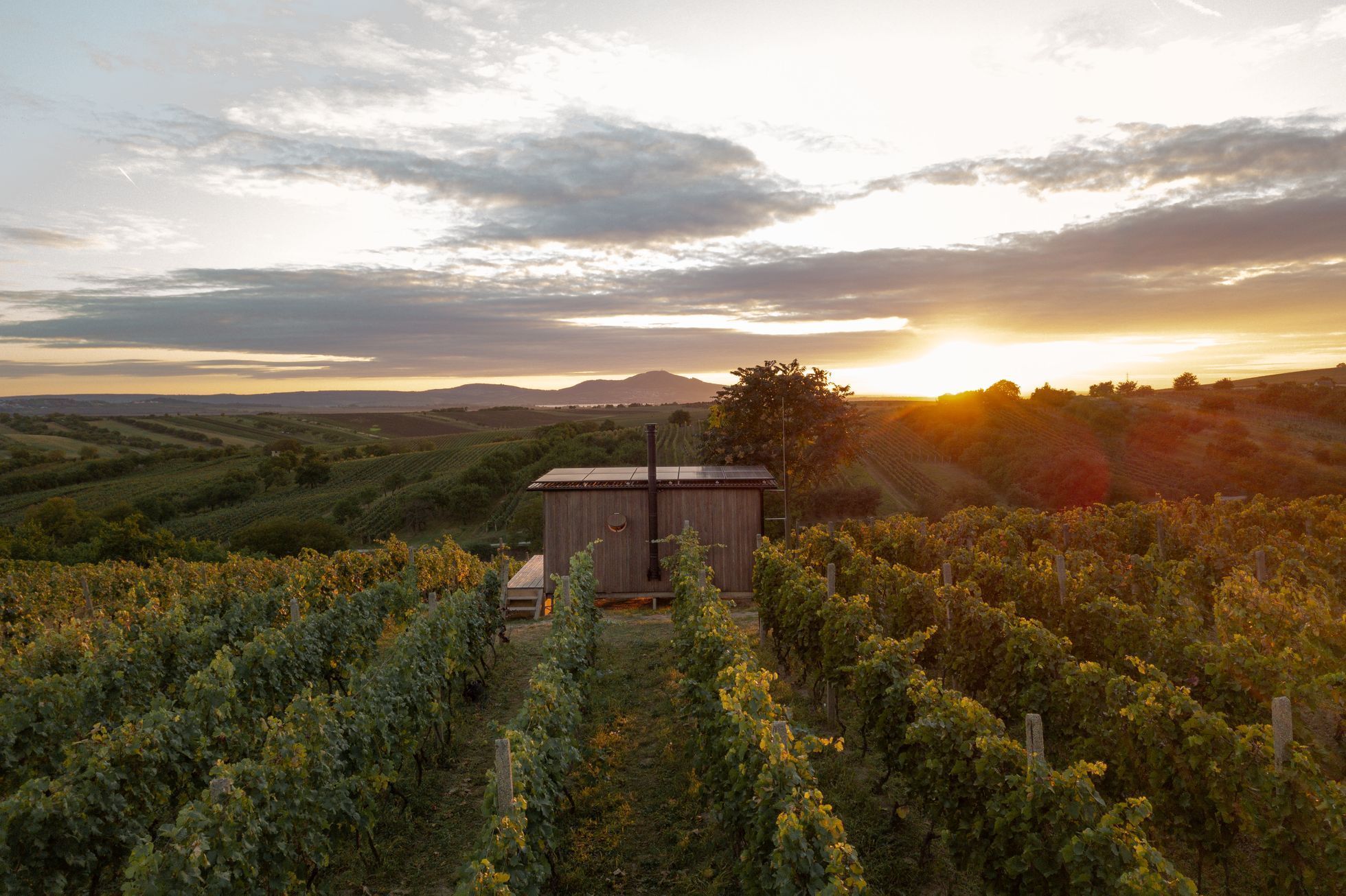 Glamping Ve vinohradě