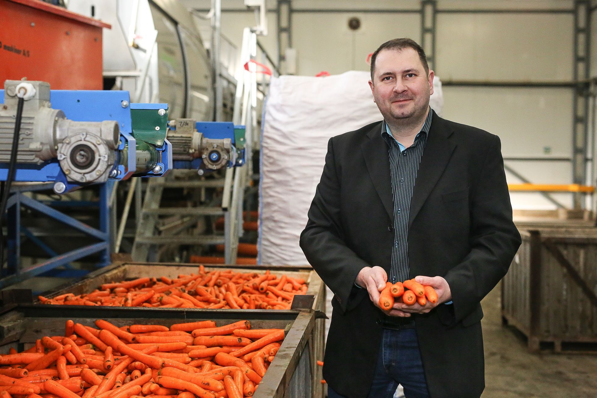 Křivá zelenina, 2. jakost, Odbytové družstvo Polabí - dodavatel zeleniny pro Tesco