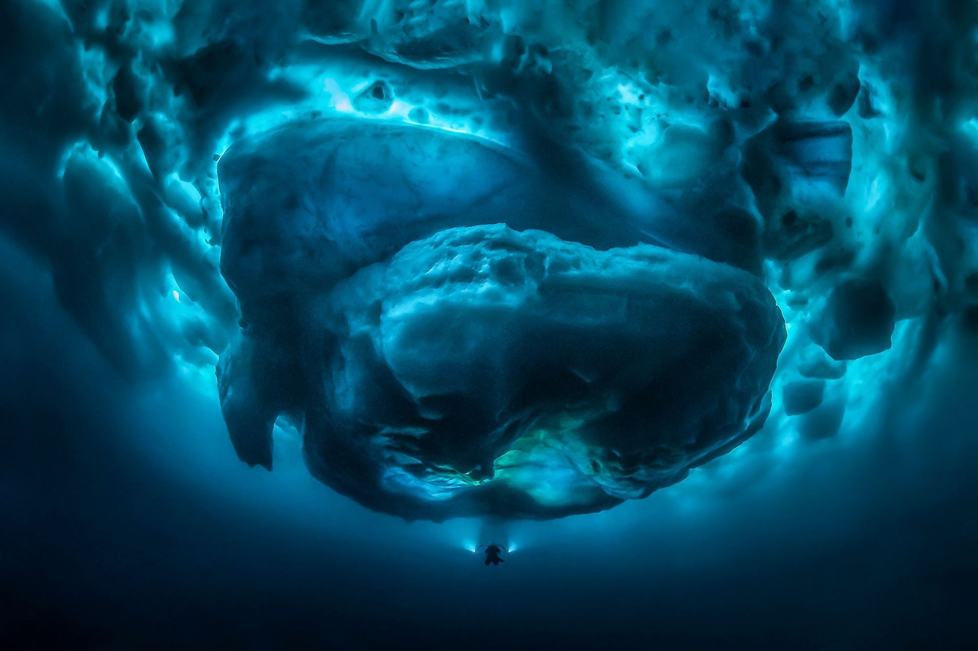 Underwater Photographer of the Year 2020 - vítězné fotografie