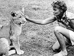 She could ignore her men but she could not ignore her wildlife animals that she cared for so much. Meet Joy Adamson.