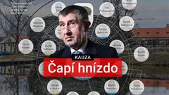 grafika - kauza capi hnizdo