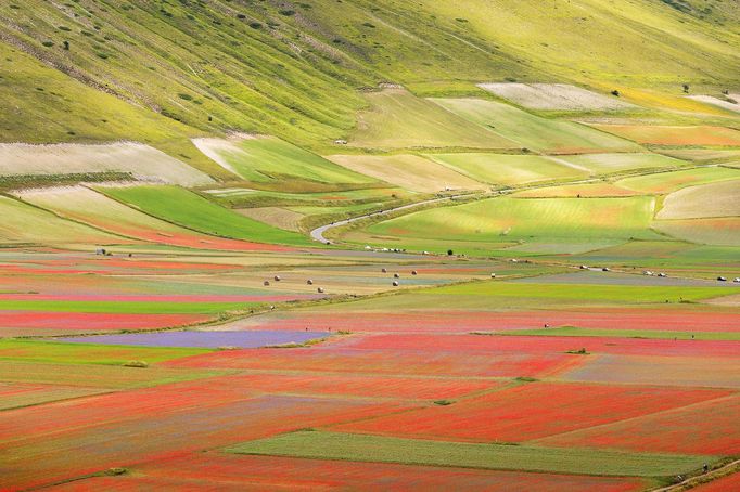 Rozkvetlá letní pole v okolí italské vesnice Castelluccio di Norcia