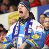 TELH, Plzeň - Pardubice: fanoušek Plzně