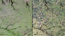 http://climate.nasa.gov/state_of_flux#Ricecultivation_Brazil.jpg Rice cultivation, Brazil Rio Grande do Sul is in the farthest southern reaches of Brazil. It hosts some 1