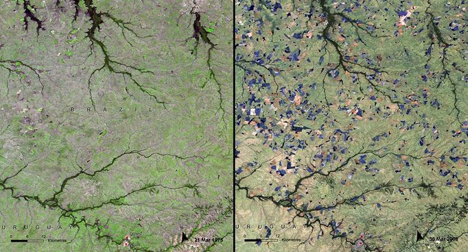 http://climate.nasa.gov/state_of_flux#Ricecultivation_Brazil.jpg Rice cultivation, Brazil Rio Grande do Sul is in the farthest southern reaches of Brazil. It hosts some 1