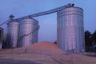 Na Jičínsku se zřítilo dvacetimetrové silo, vysypalo se z něj tisíc tun pšenice