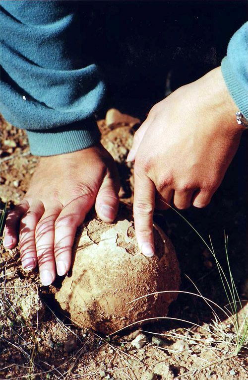 Mongolsko