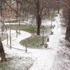 Ilustrační foto - zima, sníh, počasí, podzim, Střelecký ostrov, park