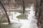Ilustrační foto - zima, sníh, počasí, podzim, Střelecký ostrov, park