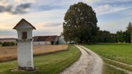 Trojiční lípa // "V letech 1831–1832 dorazila do Čech cholera. Ve Svinách rozdělili město na okrsky, přidělovali radní, omezili pohyb, zvětšili hřbitov. Doktor Jan Soukup odmítal chodit k nemocným, úmrtní listy psal od stolu, vymlouval se na nemoc, radil větrat a spoléhat na přírodu. Lidé se modlili, obraceli se k bylinkám a božím mukám. Když nepomohly prosby, ostrakizovali ho – nedostal chleba, maso, ani pivo. Po setmění chodil tajně do Boršíkova, kde mu jediná hostinská uvařila. Jednoho večera ho lidé zadrželi u cesty u kostela Nejsvětější Trojice a dovlekli do hospody. Nezbili ho, ale nutili ho léčit. Vodili ho od domu k domu. Poradil, jak pečovat o nemocné. U čtyřletého Jana Kyslíka se rozplakal, když dítě právě umíralo.

Brzy nato sám onemocněl. Ležel bez pomoci, litoval, že nedokázal být doktorem. Lidé mu poslali prázdný talíř a vzkaz: „Ať pomůže příroda.“ V horečkách slíbil, že za každého, komu nepomohl, vysadí lípu. Počítal jména v matrikách, kreslil mapu stromů. Jednu lípu zakreslil k hospodě u Nejsvětější Trojice. Připsal: Za Jana Kyslíka.
Neví se, zda je sázel sám, ale epidemii zřejmě přežil – v seznamech mrtvých není. Ve Svinách lípy rostou dodnes, zdánlivě nahodile, ale na dosah lidem. Mapu sežraly myši, jméno Soukupa zapadlo, ale lípy zůstaly. ( Autorem příběhu Trojiční lípy je spisovatel Jan Štifter)

Nominován velkou komunitou - vedle Město Trhové Sviny se k nominaci připojila spousta spolků: Včelaři, Trhováček Trhové Sviny, Myslivecký spolek , Hasiči,Rybáři., Komunitní centrum, sportovní sdružení Rychlé Šelmy T.S. "