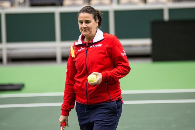 Fed Cup 2017: Česko - Španělsko