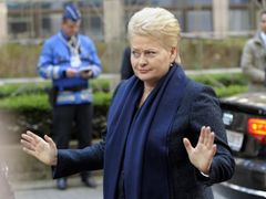La présidente lituanienne Dalia Grybauskaite est l'une des plus grandes critiques à l'égard de la France.
