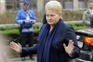 "Nejdříve Ukrajina, další na řadě může být Moldavsko a potom Pobaltí,“ varuje litevská prezidentka Dalia Grybauskaiteová.