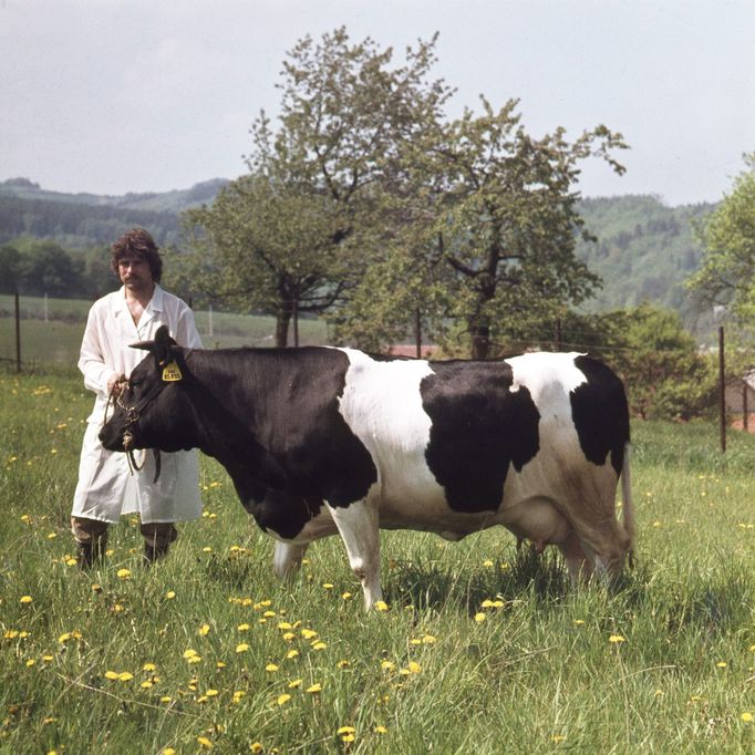 Foto Jan Regal: Agrokombinát Slušovice, 80. léta.