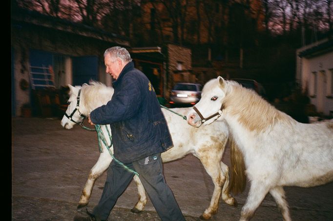 Marie Tomanová: Willy with Horses, 2018. Snímek z cyklu It Was Once My Universe.